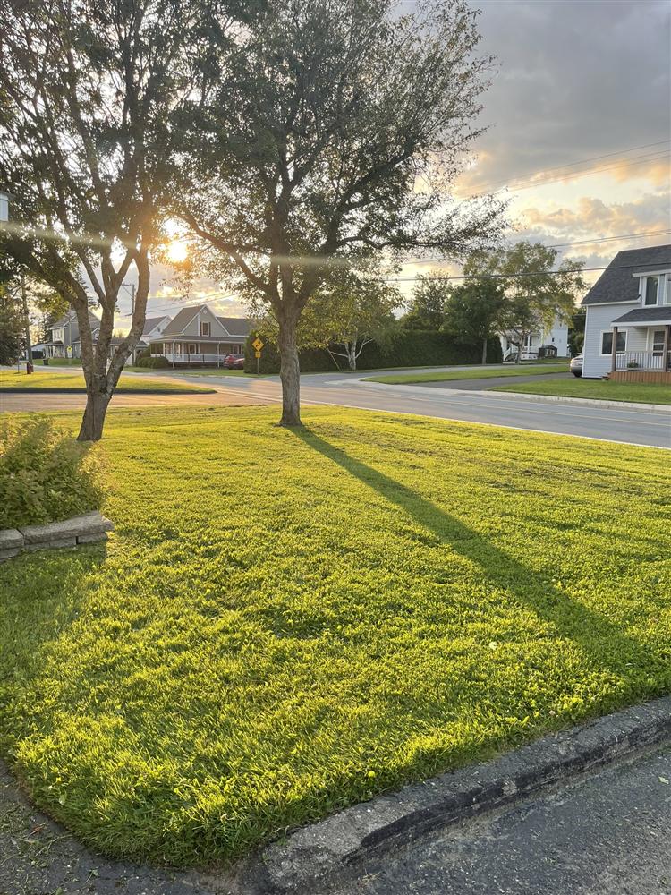 Hanson Lawn Care maintaining a local property